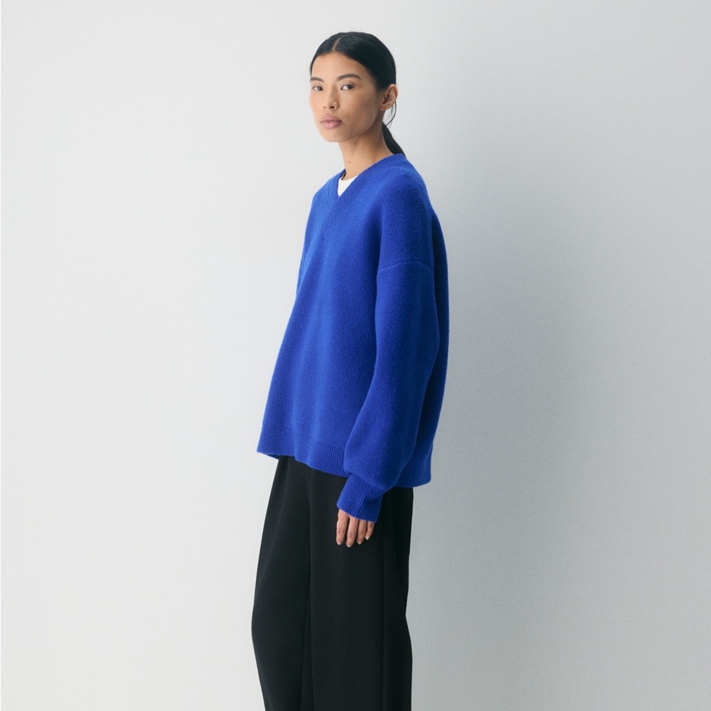 Aritzia Babaton Cinnia Sweater NWT
